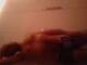 Foto privada de torosex77