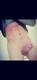 Foto privada de Blonde_ToyBoy