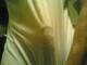 Foto privada de stripman_vero